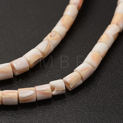 Column Natural Spiral Shell Red Lip Shell Beads Strands SHEL-E355-19-1