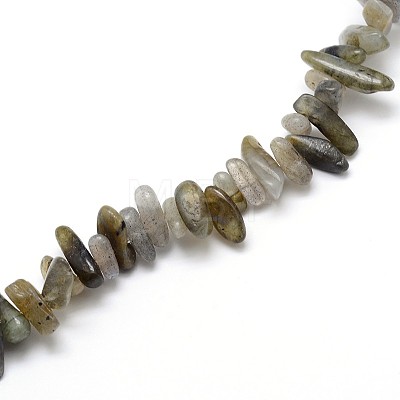 Labradorite Beads Strands G-O051-08-1