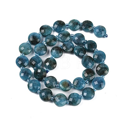 Natural Apatite Beads Strands G-B094-A27-01-1