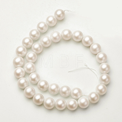Shell Imitated Pearl Bead Strands BSHE-F0014-6mm-10-1