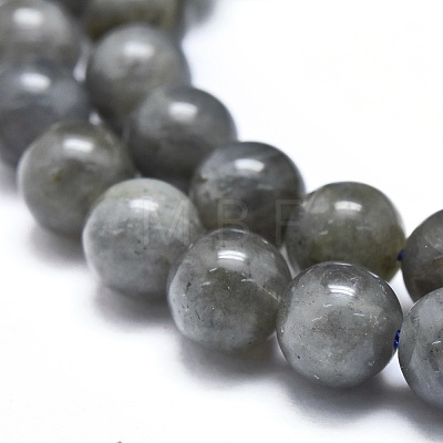 Natural Labradorite Beads Strands G-M353-A08-6mm-1