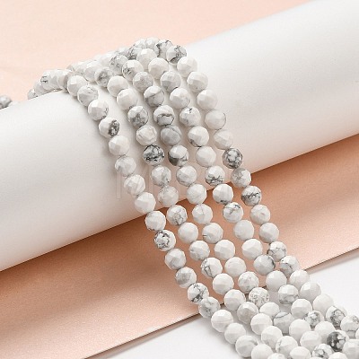 Natural Howlite Beads Strands G-E608-A01-C-1