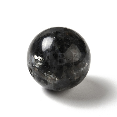 Natural Larvikite Beads G-A206-02-05-1