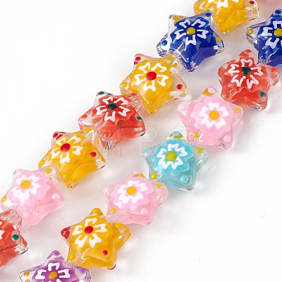 Handmade Lampwork Beads Strands LAMP-F029-03-1