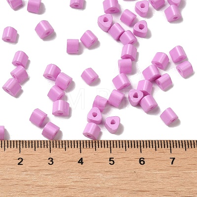 Baking Painted Glass Bead SEED-H002-K-D308-1