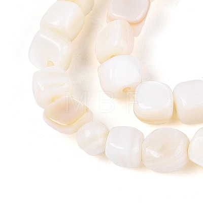 Natural Freshwater Shell Beads Strands BSHE-T014-51B-1