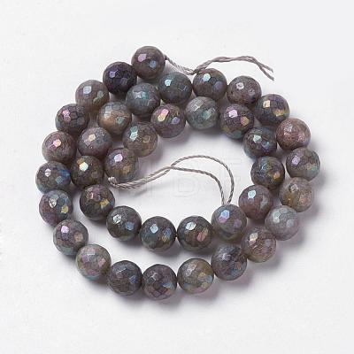 Natural Labradorite Beads Strands G-J376-49-6mm-1