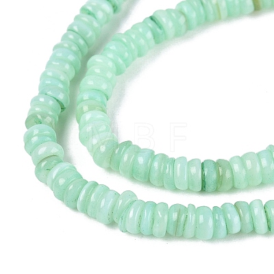 Natural Freshwater Shell Beads Strands SHEL-Q028-01F-1