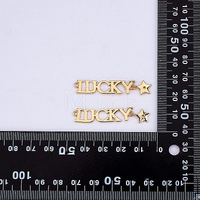 Rack Plating Brass Connector Charms KK-SZ0005-40-1