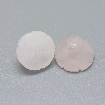 Natural Rose Quartz Beads G-F637-01F-1