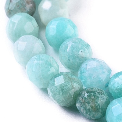 Natural Amazonite Beads Strands G-F653-02-A-1
