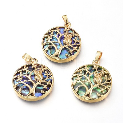 Natural Abalone Shell/Paua Shell Pendants BSHE-I014-G-1