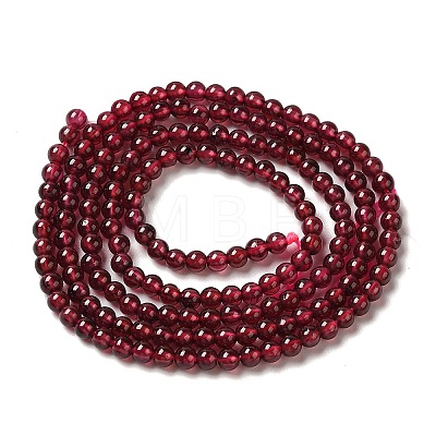 Natural Garnet Beads Strands G-B090-A20-03-1