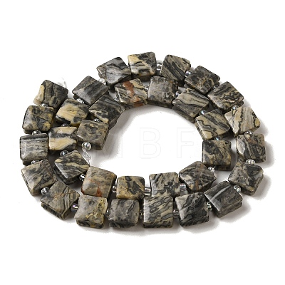 Natural Map Stone Beads Strands G-L596-A03-01-1