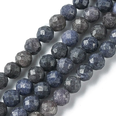 Natural Sapphire Beads Strands G-F748-M01-04-1