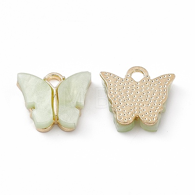 Acrylic Charms MACR-C012-01KCG-18-1