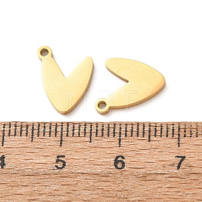 304 Stainless Steel Charms LS-SA-G606-02G-1