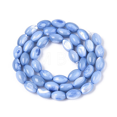 Natural Trochus Shell Beads Strands X-SHEL-K006-19-01A-1