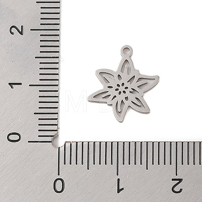 Non-Tarnish 304 Stainless Steel Pendants STAS-S139-06P-01-1