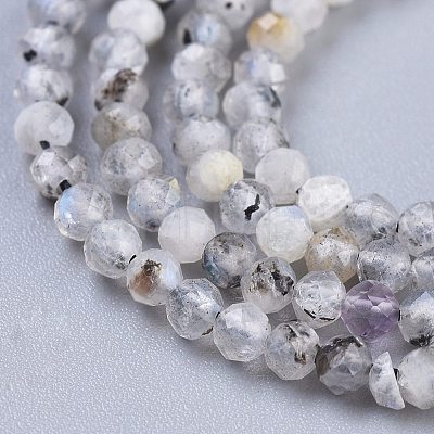 Natural Rainbow Moonstone Beads Strands X-G-R475-025B-1