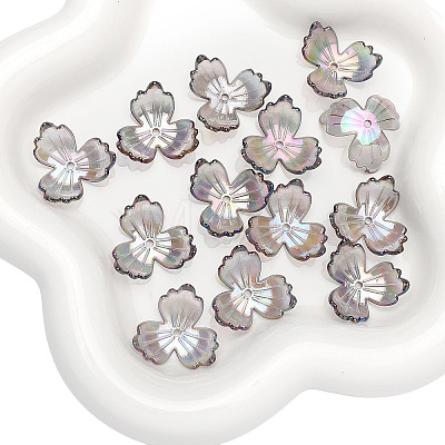 30Pcs Transparent Acrylic Beads PW-WGDDB1F-01-1