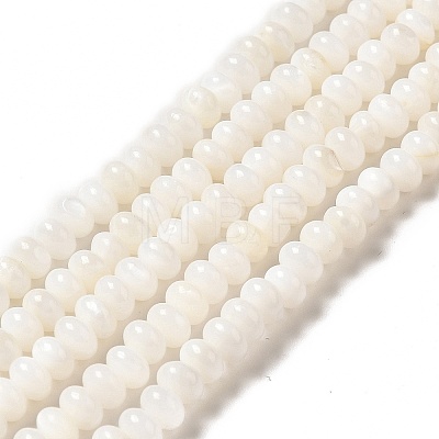 Natural Freshwater Shell Beads Strands BSHE-E026-15B-02-1