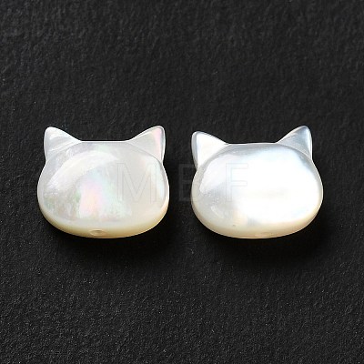 Natural White Shell Beads SHEL-G014-10B-01-1