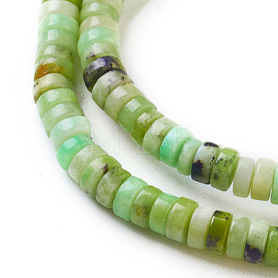 Natural Serpentine Beads Strands G-F576-02-1