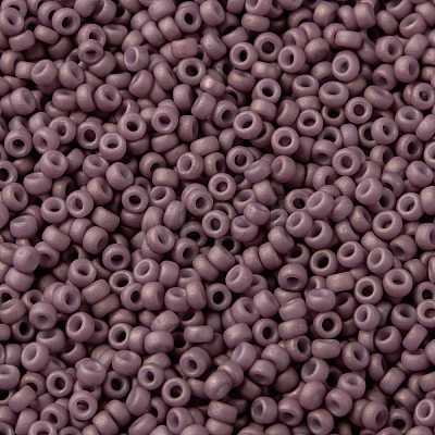 MIYUKI Round Rocailles Beads X-SEED-G009-RR2034-1