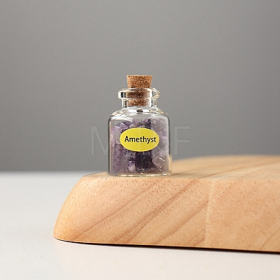 Mini Natural Amethyst Chips Bottles Sets G-PW0007-139G-1
