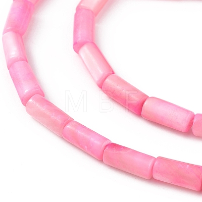 Natural Freshwater Shell Dyed Beads Strands SHEL-M018-11-13-1