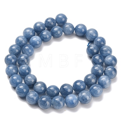 Natural Kyanite Beads Strands G-C259-B01-10mm-01-1