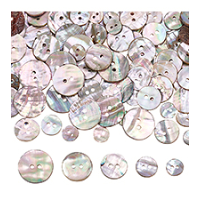 100Pcs 5 Styes 2-Hole Shell Buttons BUTT-PH0001-44-1