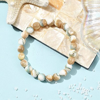 Dyed Natural Seashell Shell Round Beaded Stretch Bracelets for Women BJEW-JB14397-1