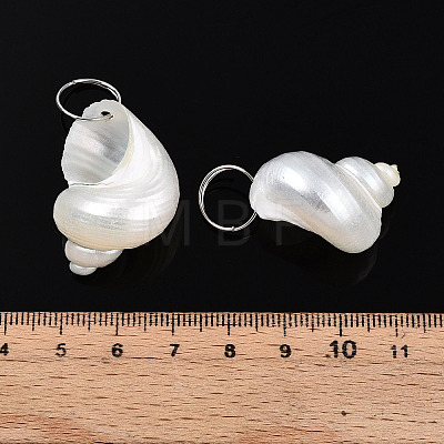 Natural Spiral Shell Pendants X-SHEL-N036-11-1