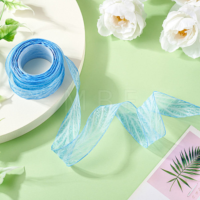 Polyester Crumpled Ribbon OCOR-TAC0035-12G-1