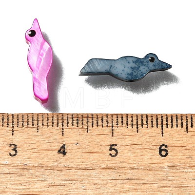 Natural Freshwater Shell Beads X-SHEL-Q008-87-1