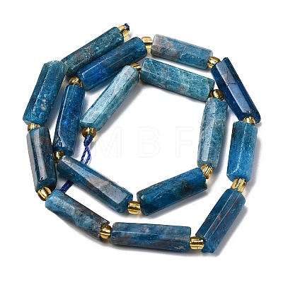 Natural Apatite Beads Strands G-D353-A02-1