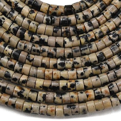 Natural Dalmatian Jasper Beads Strands G-P608-A04-01-1