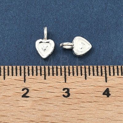 925 Sterling Silver Charms STER-A050-02B-S-1