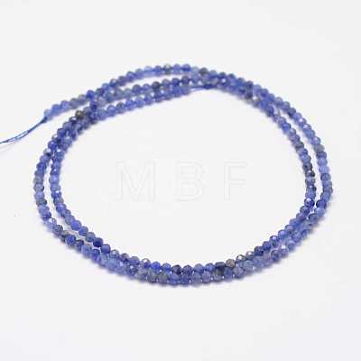 Natural Sodalite Beads Strands G-K182-2mm-24B-1