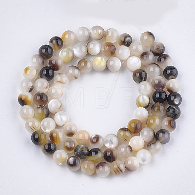 Black Lip Shell Beads Strands SHEL-S274-92C-1