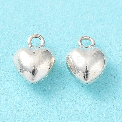 925 Sterling Silver Charms X-STER-H106-01C-S-1