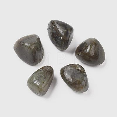 Natural Labradorite Beads G-K302-A09-1