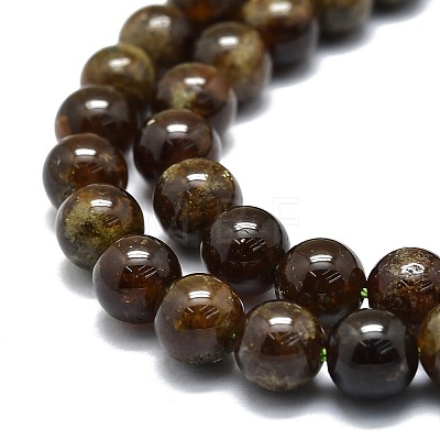 Natural Garnet Beads Strands G-E576-10B-1