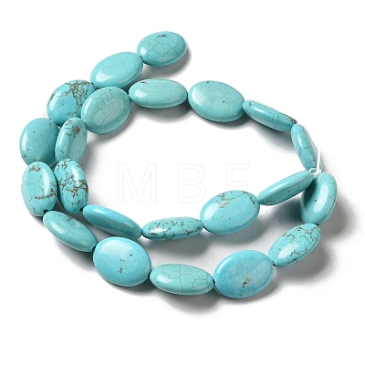 Natural Howlite Beads Strands G-C025-12B-1