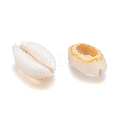 Cowrie Shell Beads SHEL-S274-54-1