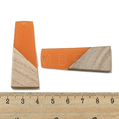 Resin & Walnut Wood Pendants RESI-XCP0002-16A-1