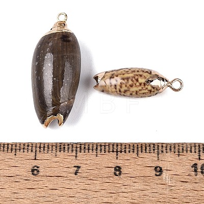 Electroplate Natural Spiral Shell Pendants SSHEL-Q100-48G-1