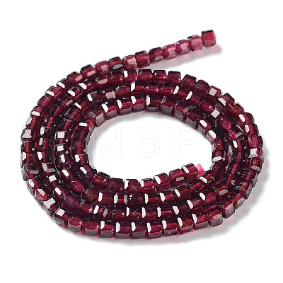 Natural Garnet Beads Strands G-P514-B04-02-1